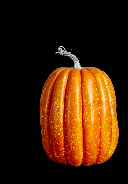 Falsificare Zucche Isolate Sfondo Nero Concetto Halloween Autunno Autunno Copia — Foto Stock
