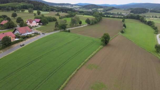 Rural Agricultural Landscape Farming Fields End Forest Aerial Drone Footage — Stock Video