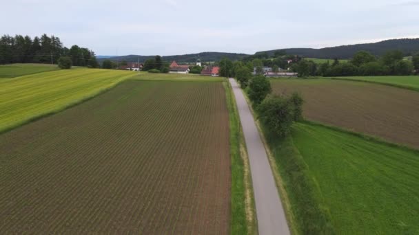Rural Agricultural Landscape Farming Fields End Forest Aerial Drone Footage — Stock Video
