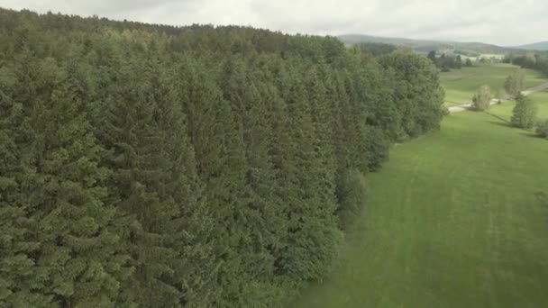 Vuelo Sobre Las Copas Los Árboles Hermoso Bosque Baviera — Vídeo de stock