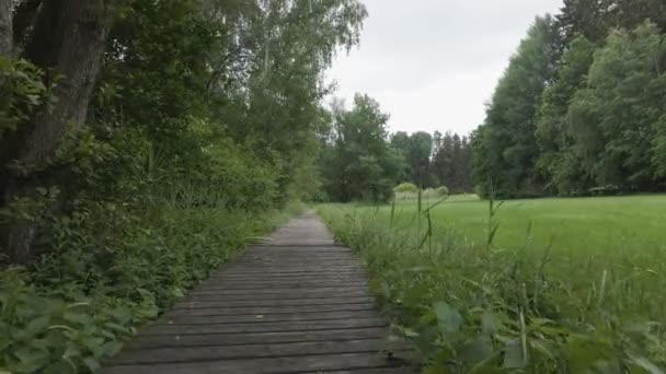 Holzweg Einem Sumpf Wald Von Bayern — Stockvideo