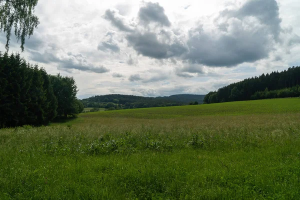 Bäuerliche Felder Mit Mais Gesät Bayern Deutschland — Stockfoto