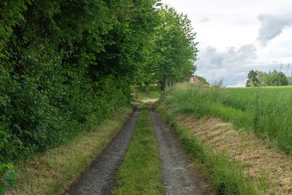 Camino Rural Que Conduce Cordillera Alemania Baviera — Foto de Stock