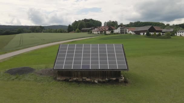 Ovejas Pastan Campo Cerca Granero Con Paneles Solares — Vídeo de stock