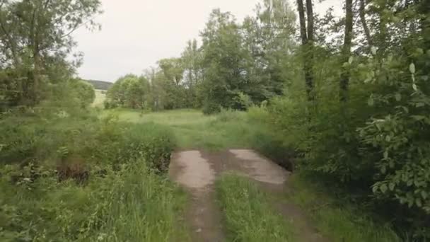 バイエルンの森の中の背の高い草の田舎道 — ストック動画