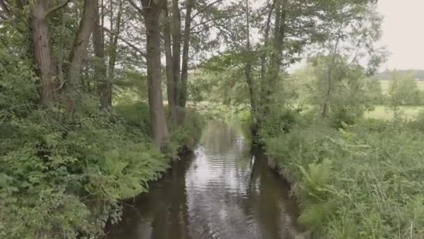 Vuelo Sobre Río Hacia Bosque — Vídeo de stock