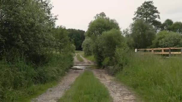 Vuelo Sobre Río Hacia Bosque — Vídeo de stock