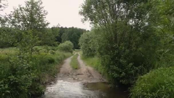 Vuelo Sobre Río Hacia Bosque — Vídeo de stock