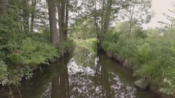 Vuelo Sobre Río Hacia Bosque — Vídeo de stock