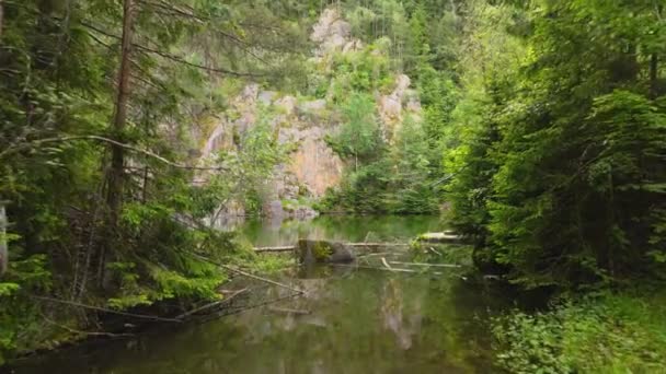 Abandoned Quarry Forest Bavaria Germany — Stockvideo