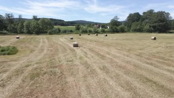 Many Bales Hay Field — Vídeo de stock