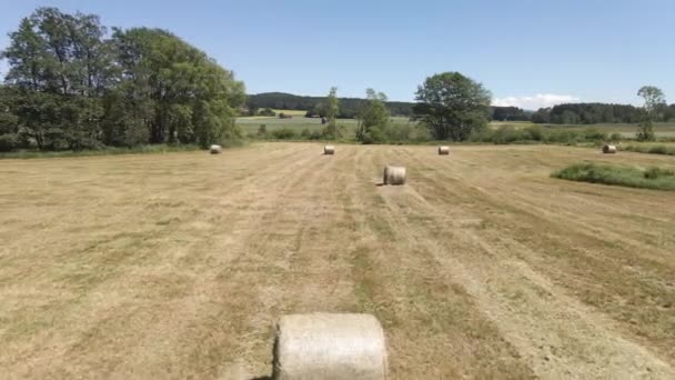 Many Bales Hay Field — Vídeo de stock