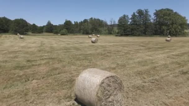 Many Bales Hay Field — Stockvideo
