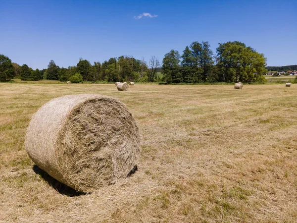 Many Bales Hay Field — Stockfoto