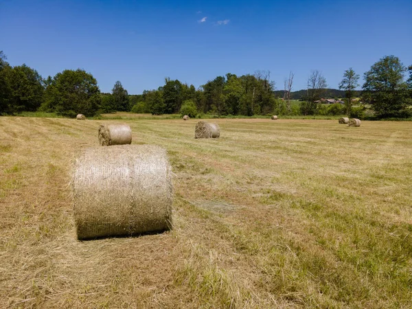 Many bales of hay on the field