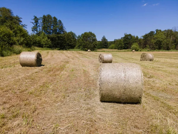Many Bales Hay Field — Stockfoto