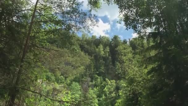 Abandoned Quarry Forest Bavaria — 비디오