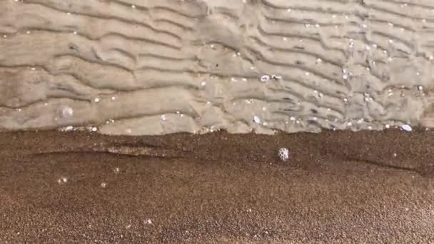 Порожній Морський Пляж Білий Пісок Хвилі — стокове відео