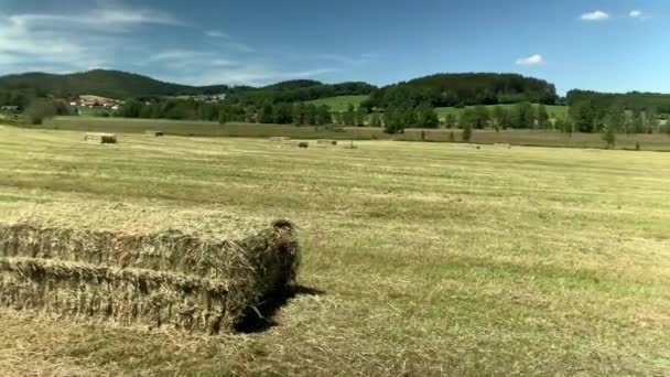Square Bales All Field — Stockvideo