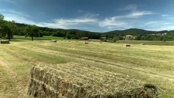 Square Bales All Field — Stockvideo