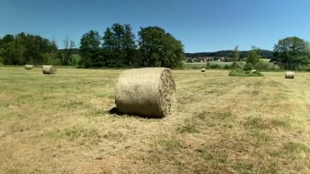 Bales All Field — Wideo stockowe