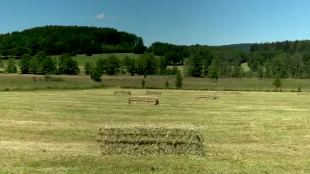 Tractor Collects Grass Releases Bales — Vídeos de Stock