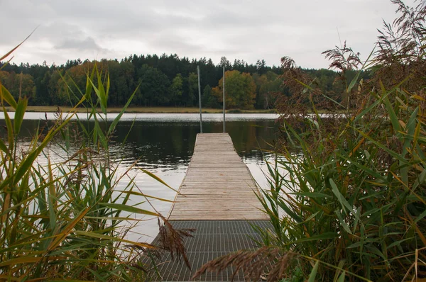 森の中の湖の桟橋 — ストック写真