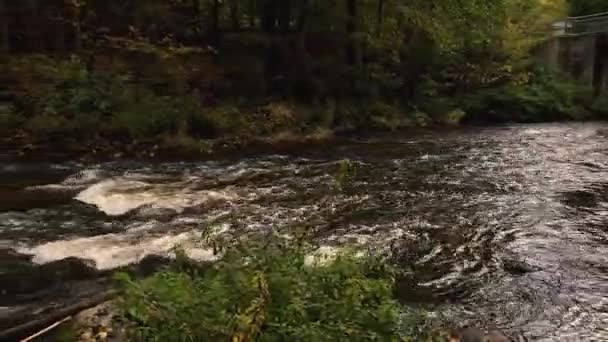 Skalnatá Řeka Lese — Stock video