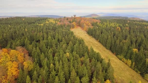 Torre Osservazione Turistica Nella Foresta Autunnale — Video Stock