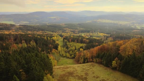 Χρυσό Φθινόπωρο Δάσος Από Θέα Των Ματιών Ενός Πουλιού — Αρχείο Βίντεο