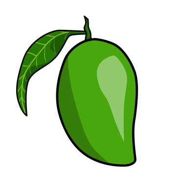 taze yeşil mango meyvesi illüstrasyonu