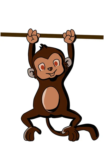 Ilustracja Cute Małpy — Zdjęcie stockowe