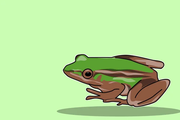 Illustration Cute Frog — Stock Photo, Image