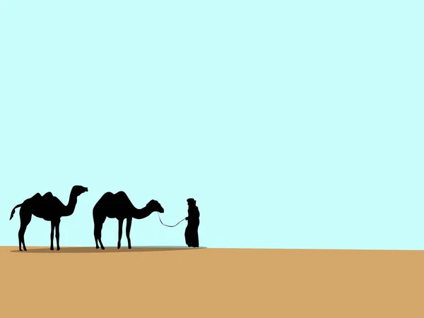 Camels Desert Road — Stock Photo, Image