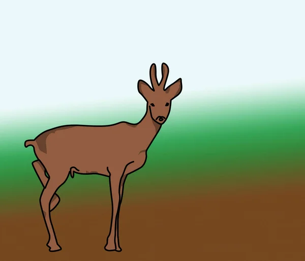deer silhouette, drawing illustration.