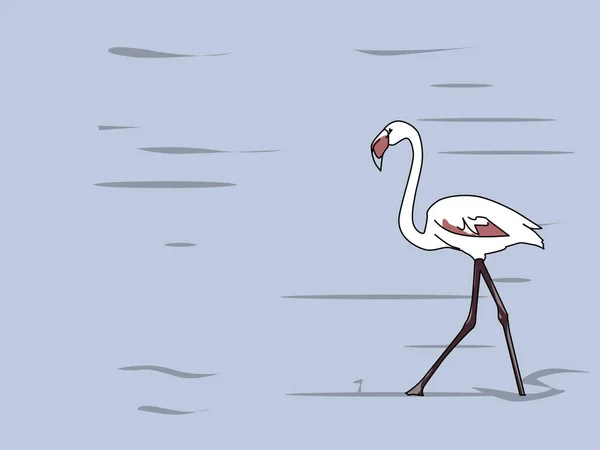 Flamingo Vogel Het Strand Illustratie — Stockfoto
