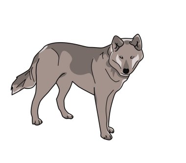 Siyah beyaz bir köpeğin çizimi