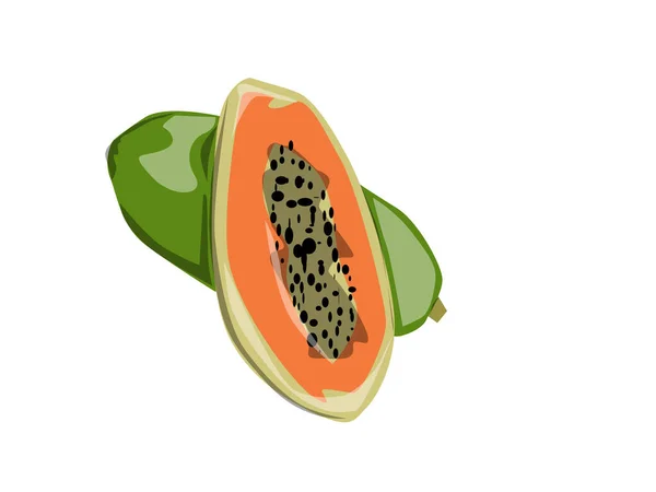 Drawing Illustration Papaya Fruit Green Leaves Tropical Fruits — Stock Photo, Image