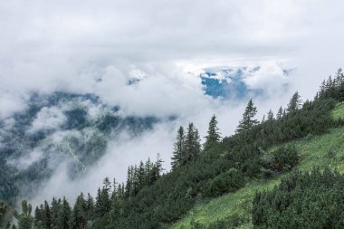 Almanya 'nın Jenner Dağı' nın zirvesinde sis