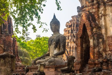 Tayland 'daki Ayutthaya Tapınağı harabelerinde Buda heykeli