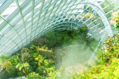 ŞARKI, 3 EKİM 2019: Singapur 'daki Bulut Ormanı