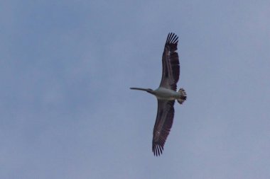 Bir seyahat manzarası görüntüsü