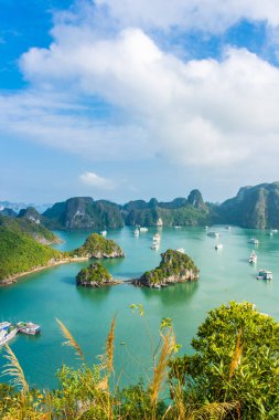 HA LONG BAY, VİETNAM, 6 HAZİRAN 2020:
