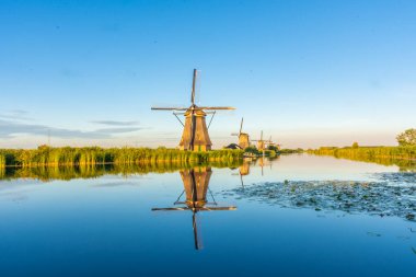 Hollanda 'nın ünlü Kinderdijk yel değirmenleri.
