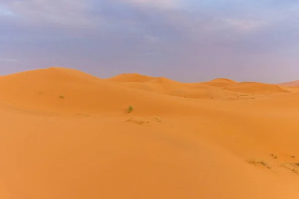 Vackert Landskap Sanddynerna Saharaöknen Skymningen Merzouga Morocco — Stockfoto