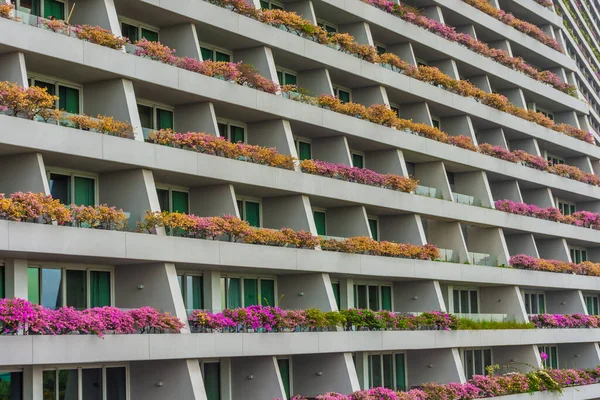 Singapur Octubre 2019 Habitaciones Del Marina Bay Sands Hotel — Foto de Stock