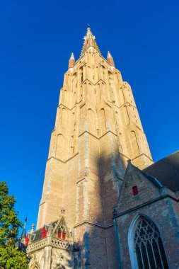 Belçika 'daki Bruges Katedrali