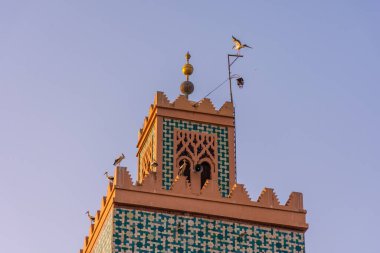 Fas 'taki Marakeş Camii' nin minaresinde uçan büyük bir leylek sürüsü.