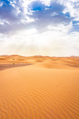Sahra Çölü 'nün güzel manzarası, erg Chebbi, Merzouga, Fas