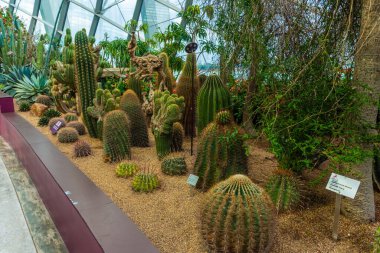 ŞARKI, 3 EKİM 2019: Singapur 'daki Çiçek Kubbesi